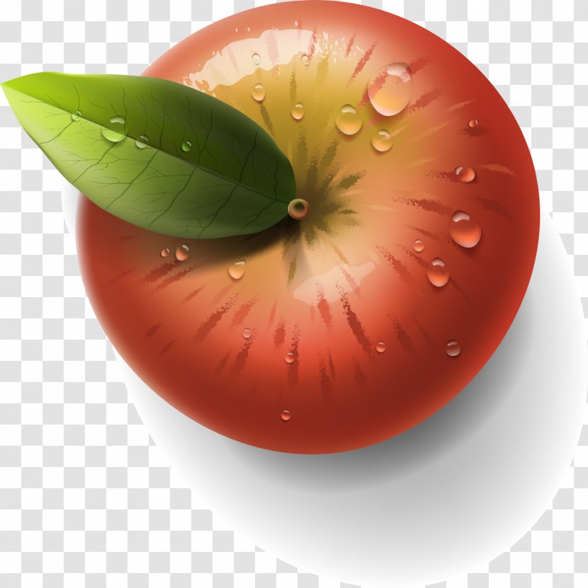 Apple Auglis Clip Art - Food - Vector 9 Transparent PNG
