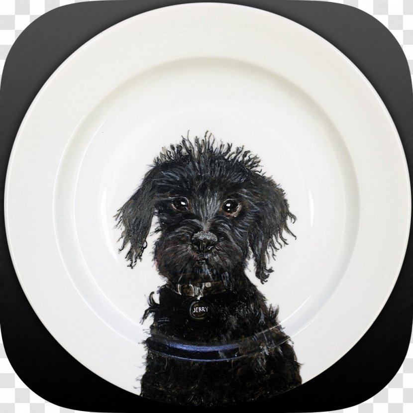 Schnoodle Portuguese Water Dog Cockapoo Spanish Affenpinscher - Breed - Puppy Transparent PNG