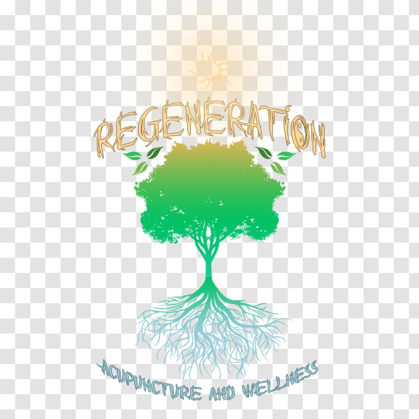 Regeneration Acupuncture And Wellness, PLLC Tree Logo Clip Art Font - Frame - Problems Fraxel Laser Transparent PNG
