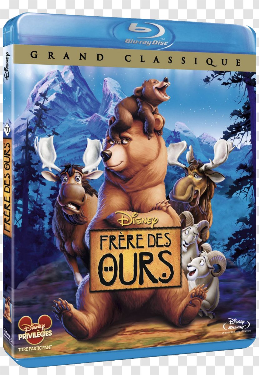 Blu-ray Disc DVD Brother Bear Film Animation - Bluray - Dvd Transparent PNG