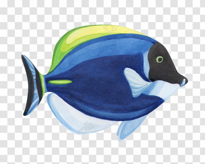 Goldfish Watercolor Painting Drawing Graphics - Aquarium - Fish Transparent PNG
