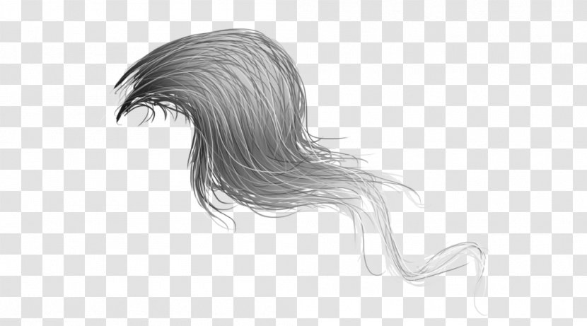 Horse Hair Mane Tail Drawing - Monochrome - Long Transparent PNG