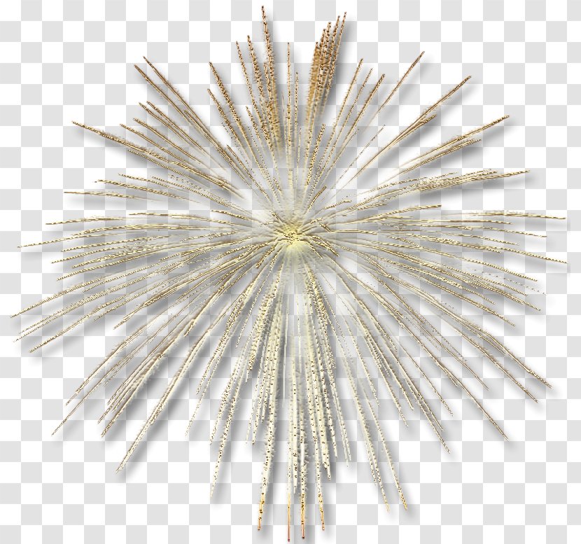 Adobe Fireworks - Color Transparent PNG