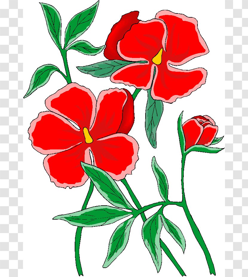 Flower Beauty Clip Art - Herbaceous Plant - Free Flowers Images Transparent PNG