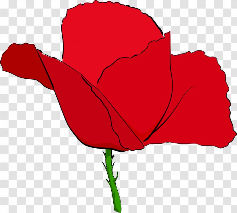 Remembrance Poppy Common Clip Art - Flower Transparent PNG