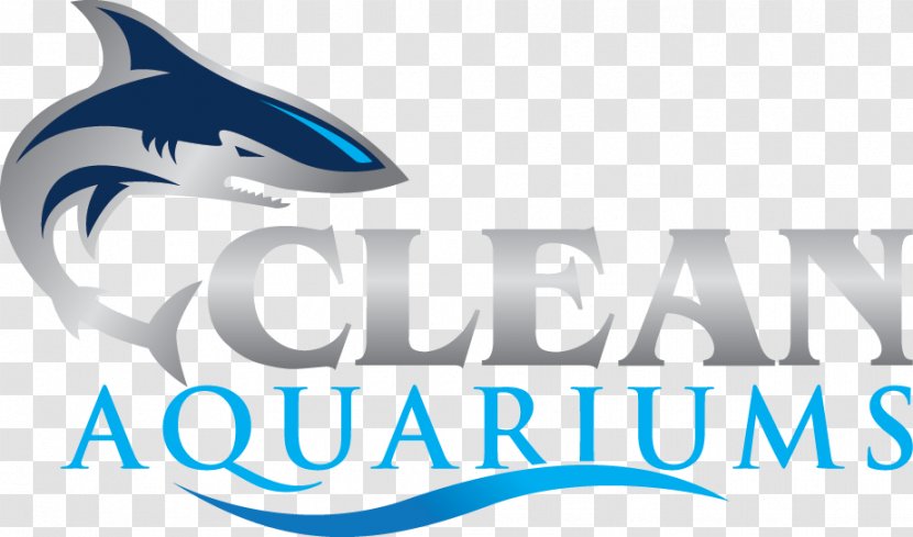 Public Aquarium Rainbowfish Tetra Suckermouth Catfish - Cichlid - Clean Cv Transparent PNG