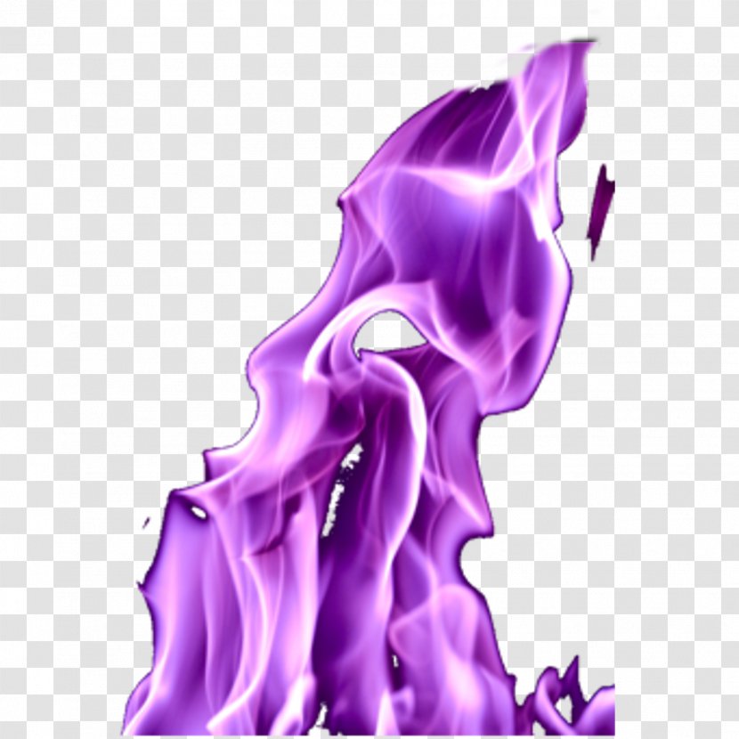 Character Fiction - Petal - Purple Fire Transparent PNG
