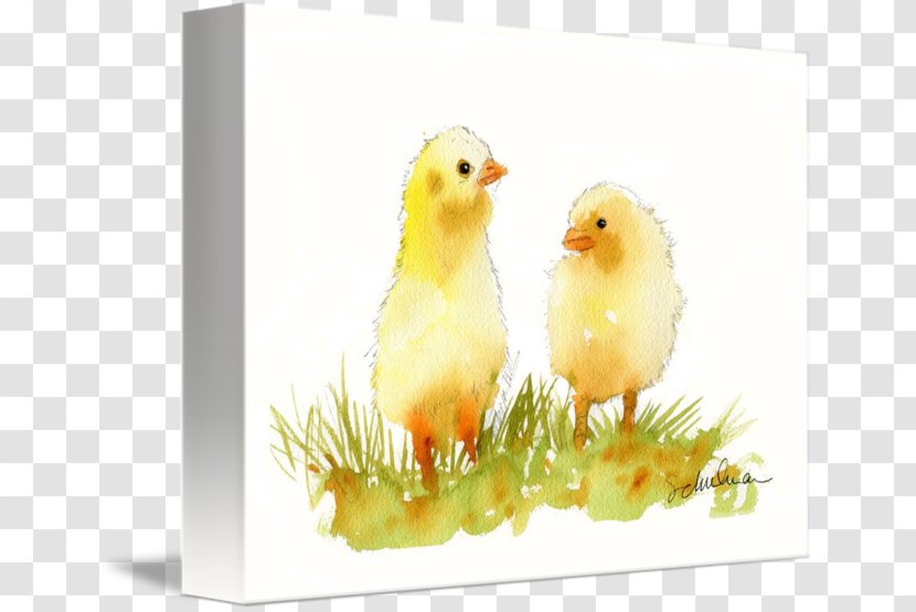 Current Gallery Bird Fine Art Watercolor Painting Transparent PNG