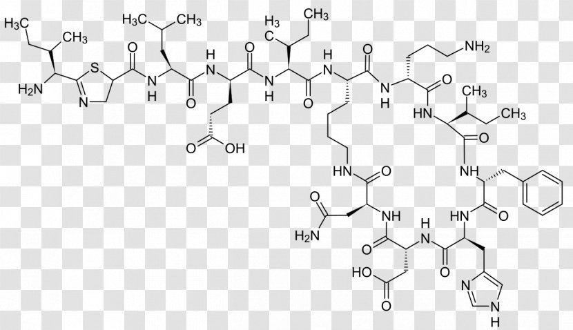 Bacitracin Cyclic Peptide Structure Cyclosporine Transparent PNG