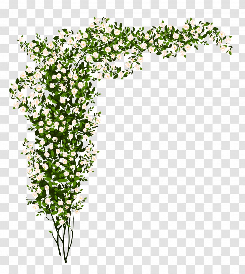Shrub Rose Tree Clip Art - Hybrid Tea - Green Bush Cliparts Transparent PNG