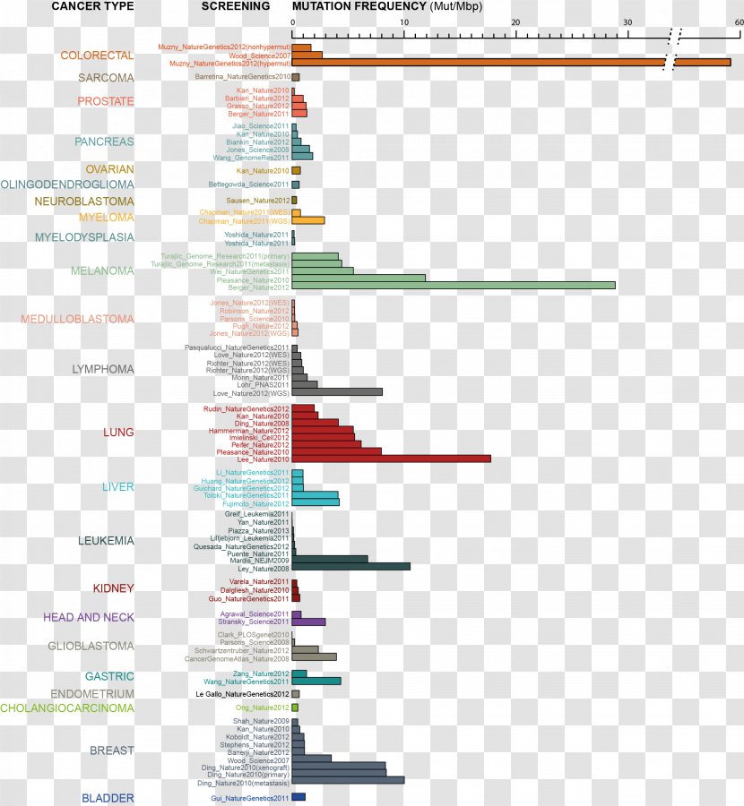 Line Angle Document - Diagram Transparent PNG