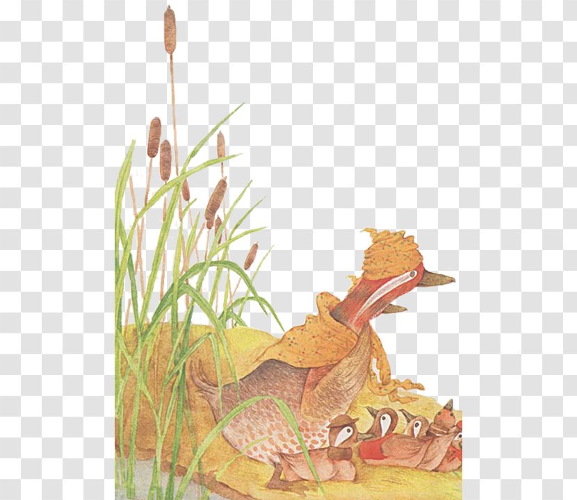 Duck Child Mother - Reptile - Reed Marshes And Ducks Transparent PNG