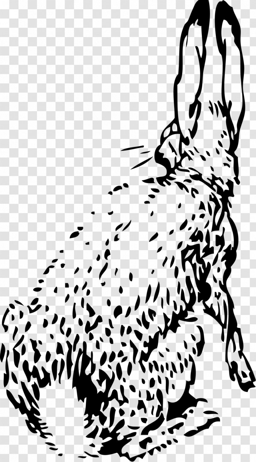 European Hare White Rabbit Holland Lop Clip Art - Illustration - Ears Transparent PNG