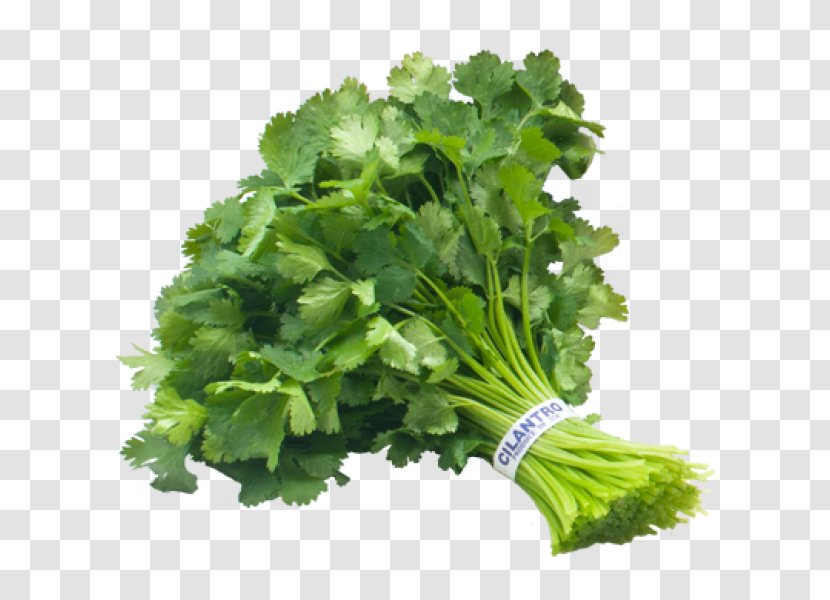 Chutney Mexican Cuisine Pesto Coriander Herb - Rapini - Parsley Transparent PNG