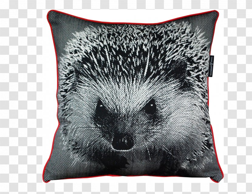 Domesticated Hedgehog Throw Pillows Hilarious Hedgehogs - Porcupine Transparent PNG