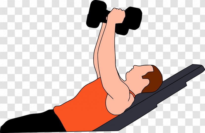 Exercise Clip Art - Weight Training - Neck Transparent PNG