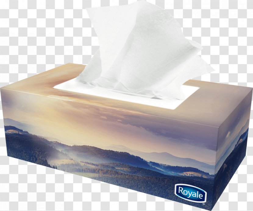 Tissue Paper Handkerchief Facial Tissues Ply - Reuse Bag Transparent PNG