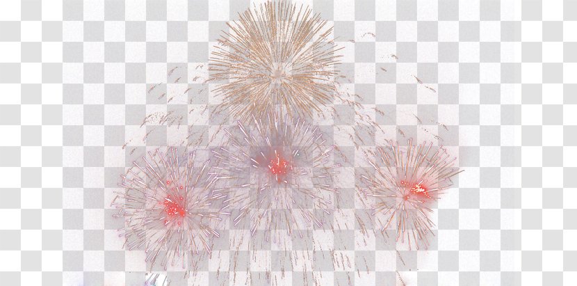 Pink - Fireworks Transparent PNG