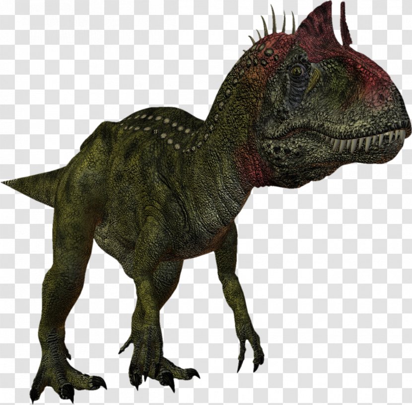 Dinosaur Velociraptor Ankylosaurus Giganotosaurus - Animal Transparent PNG