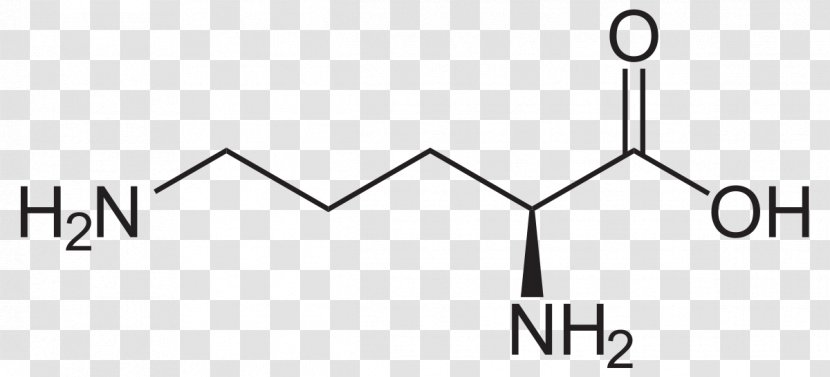 Methionine Amino Acid Glutamine Cysteine Tyrosine - Brand - Point Transparent PNG