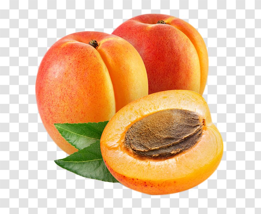 Apricot - Peach - Apricots Transparent PNG