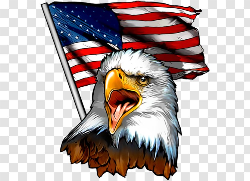 Veterans Day United States - Bumper Sticker - Golden Eagle Transparent PNG