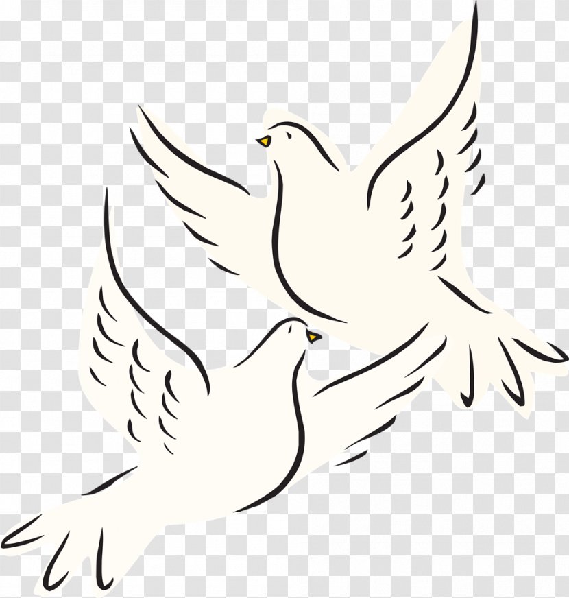 Columbidae Clip Art Openclipart Image Drawing - Cartoon - Dove Transparent PNG