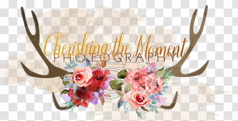 Photography Zenfolio Fotolia Floral Design Setmore Appointments - Petal - Cherish Life Transparent PNG