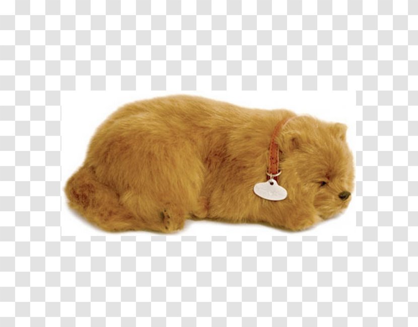 Dog Breed Pomeranian Siamese Cat Stuffed Animals & Cuddly Toys Pet - Fur - Toy Transparent PNG