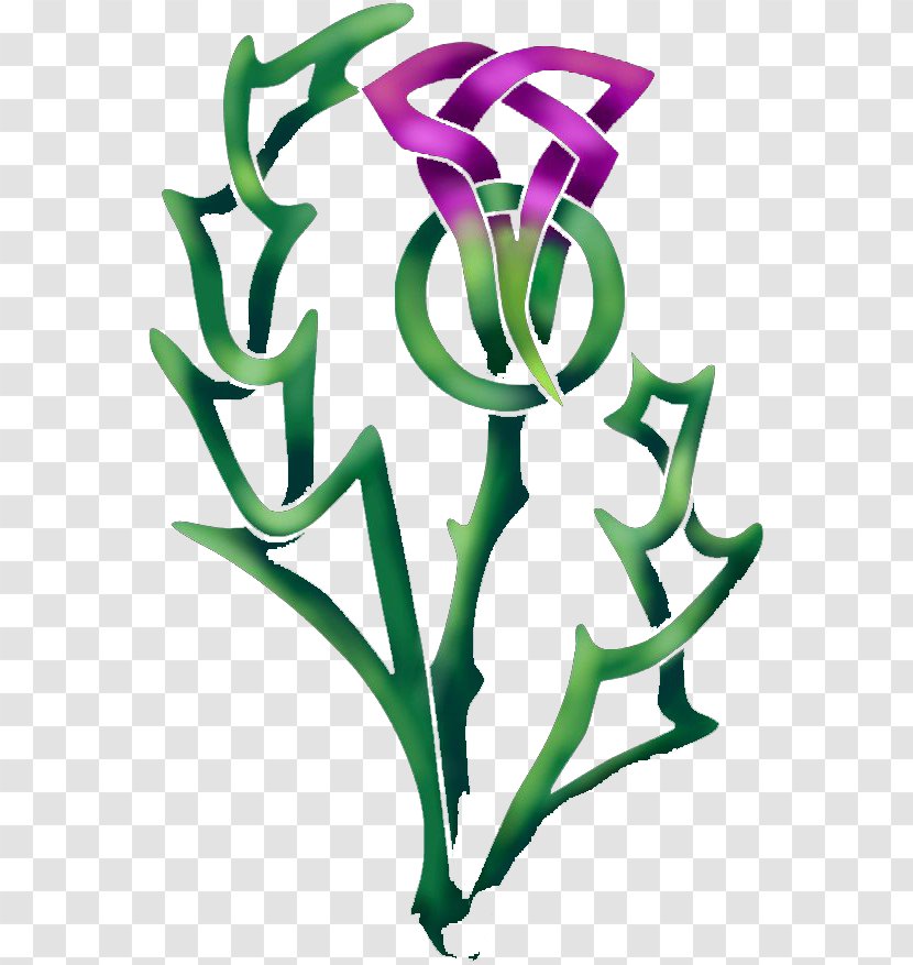Scotland Milk Thistle Carduus Nutans Thorns, Spines, And Prickles - Flora - Alfalfa Plant Transparent PNG