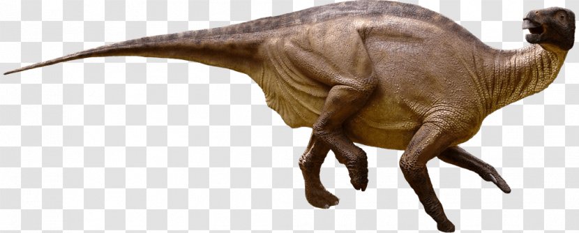 Iguanodon Tyrannosaurus Camptosaurus Moab Giants Dinosaur - Eating Transparent PNG