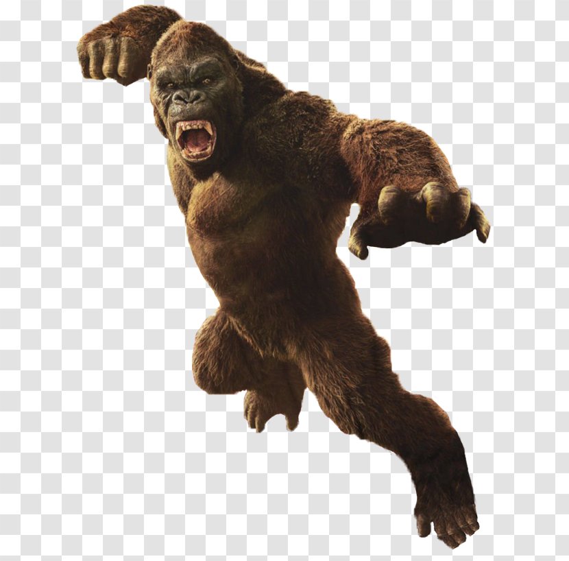 King Kong Godzilla YouTube MonsterVerse Film - Terrestrial Animal Transparent PNG