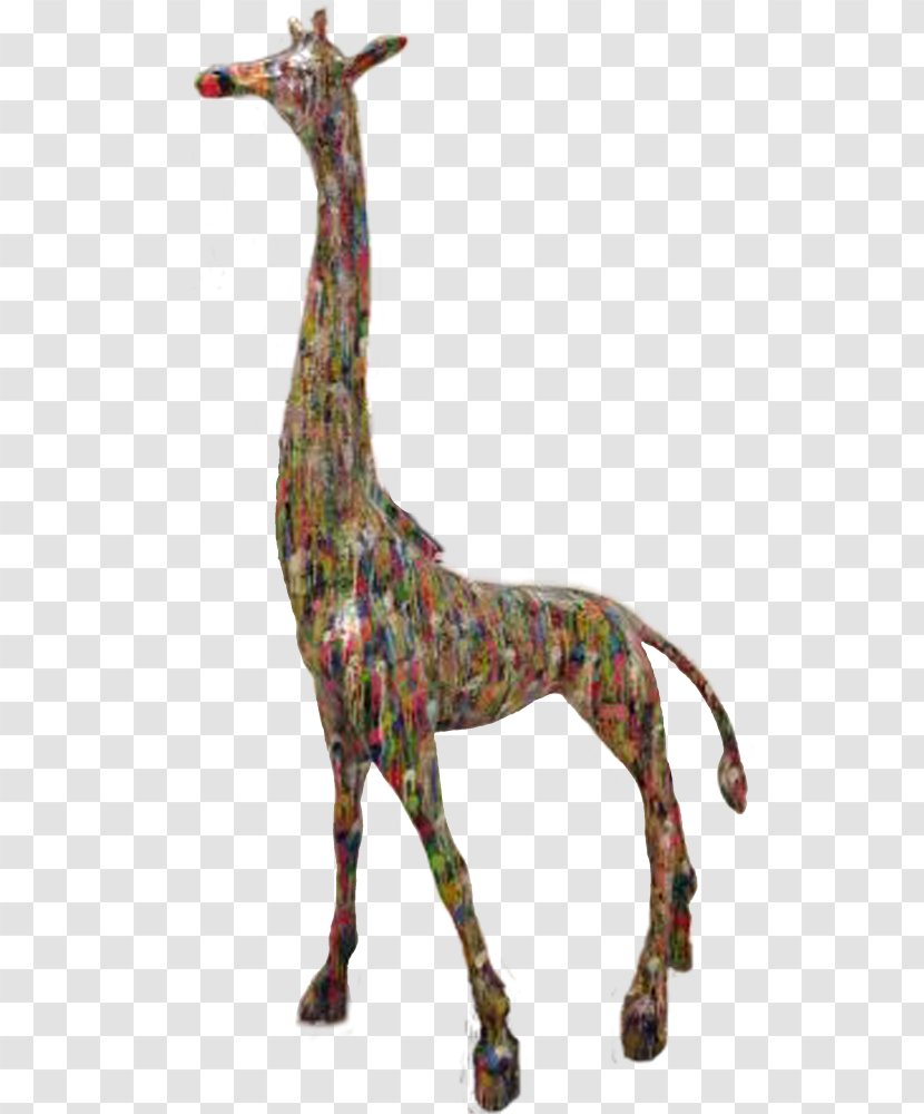 Giraffe Terrestrial Animal Neck Wildlife - Fauna Transparent PNG