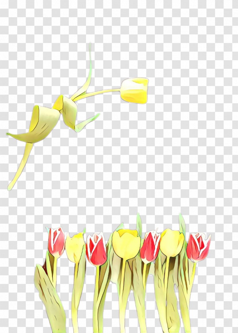 Flowers Background - Arum - Family Anthurium Transparent PNG