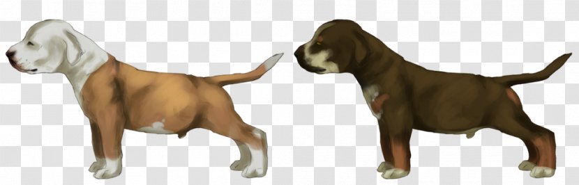 Dog Breed Crossbreed Animal - American Staffordshire Transparent PNG