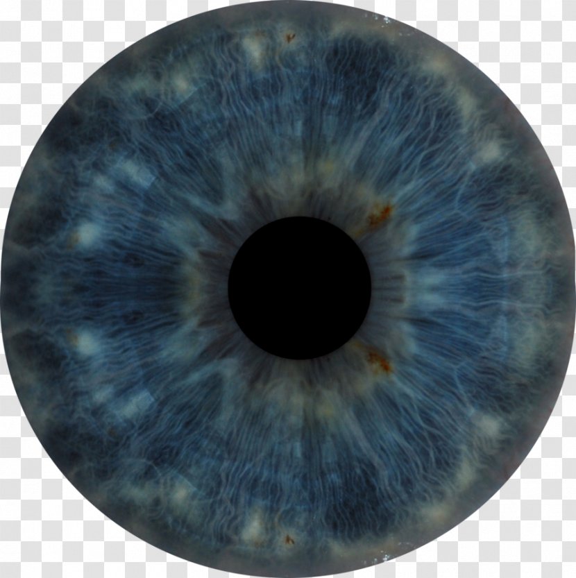 Human Eye Iris - Cartoon - Anatomy Transparent PNG