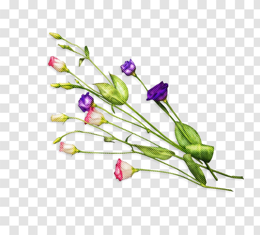 Flower Plant Cut Flowers Pedicel Plant Stem Transparent PNG