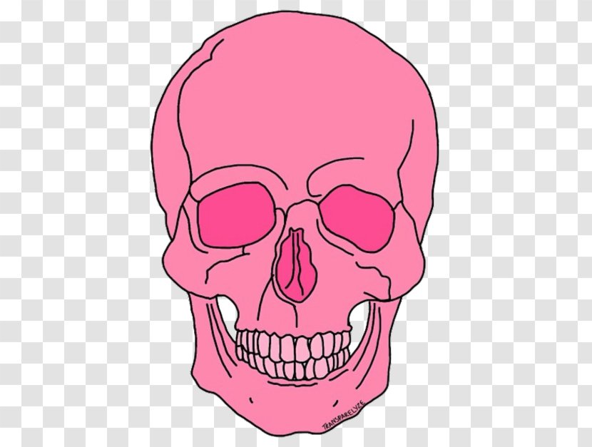 Skull Skeleton Overlay - Watercolor - Indie Night Transparent PNG