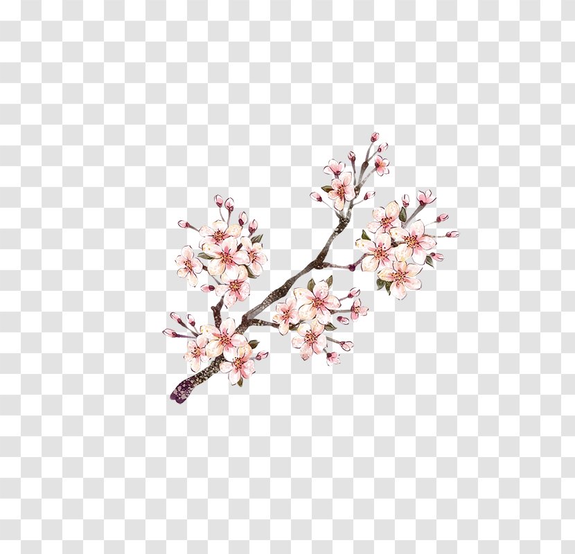 Download Plum Blossom Red - Tree - Flower Transparent PNG