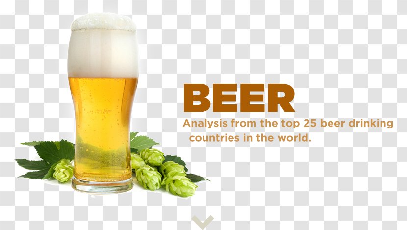 Beer Brewing Grains & Malts Lager Charming Spice 麻辣诱惑 Craft - Drink Transparent PNG