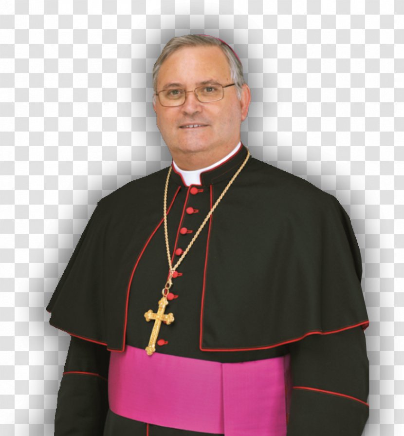 Auxiliary Bishop Roman Catholic Diocese Of Santander José Manuel Lorca Planes Cartagena - Fiesta De Las Cruces Transparent PNG