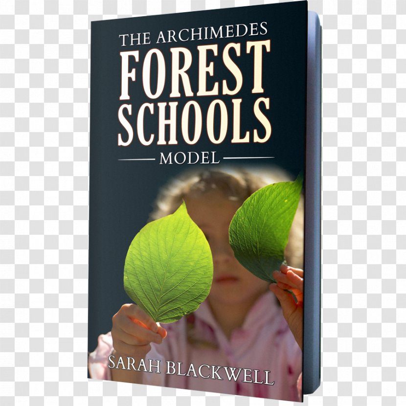 Forest School In Practice: For All Ages Kindergarten Transparent PNG