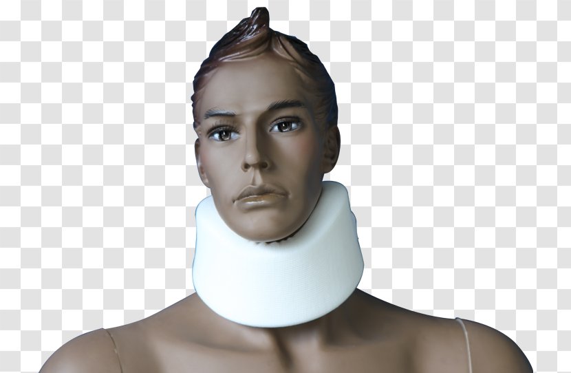Chin Jaw Forehead Shoulder - Face Transparent PNG