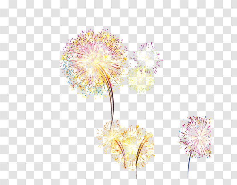 Adobe Fireworks Transparent PNG