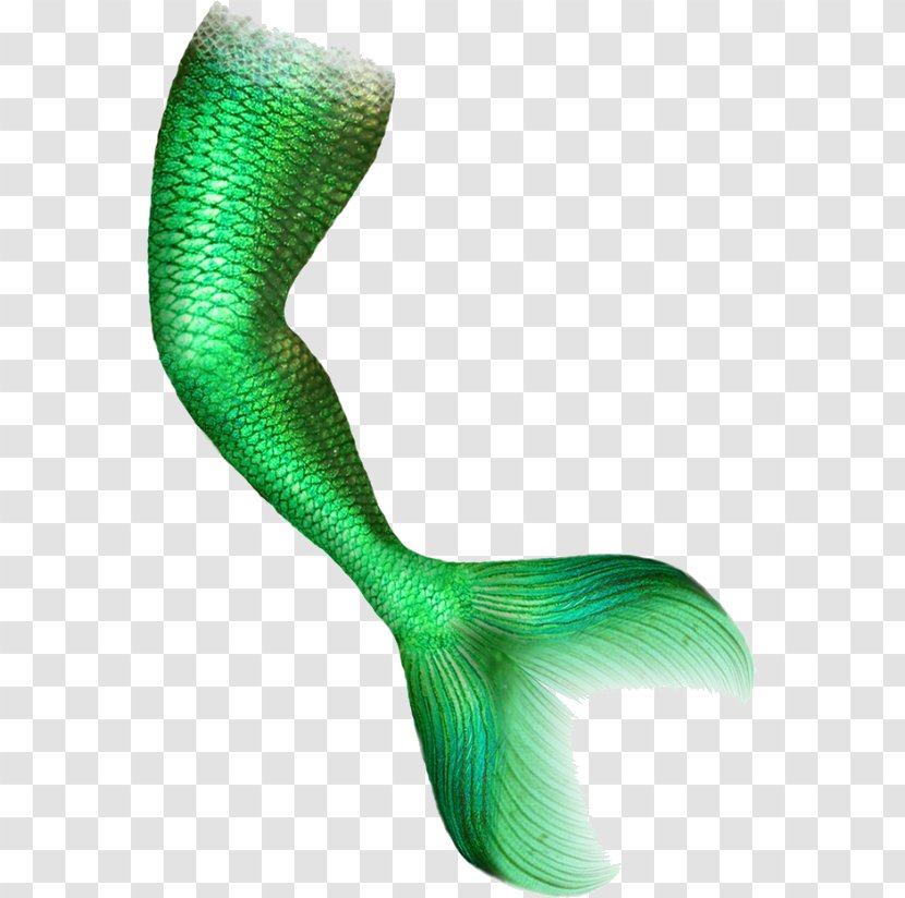 Clip Art Image Download Computer File - Gd Graphics Library - Mermaid Tail Clipart Transparent PNG