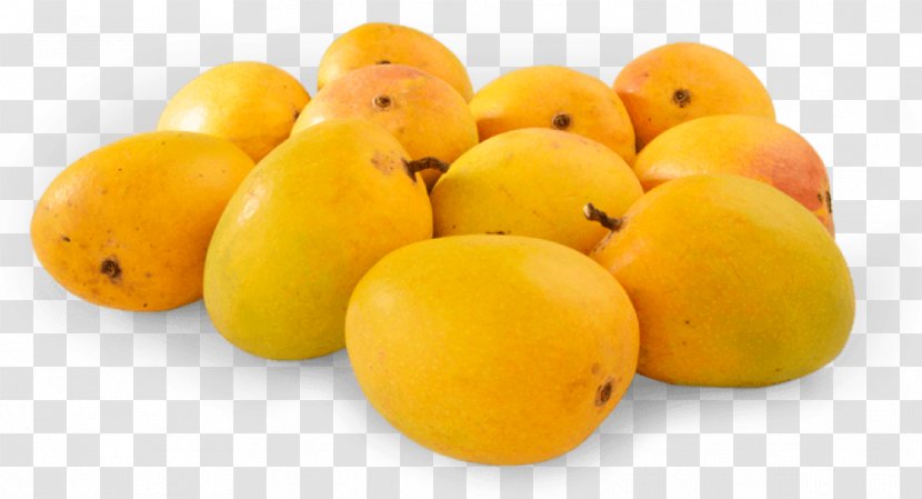 Ratnagiri Devgad Taluka Konkan Alphonso Mango - India Transparent PNG