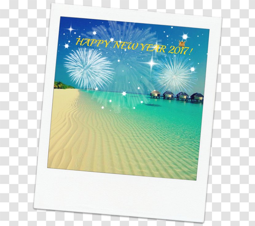 Caribbean Picture Frames Author Font - Second Day New Year Transparent PNG
