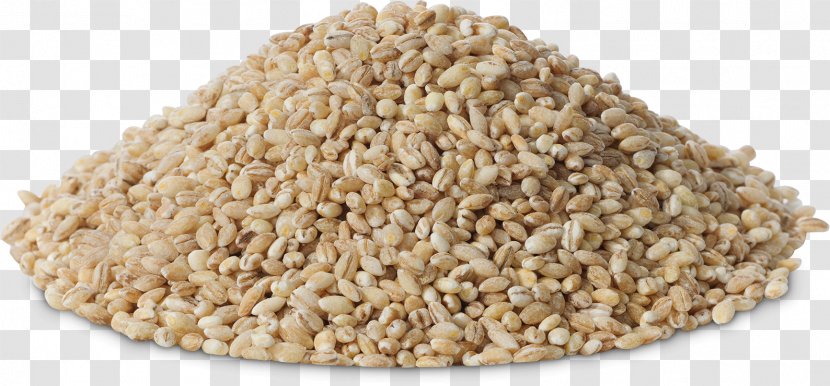 Groat Cereal Barley Grits Whole Grain - Pearl Transparent PNG