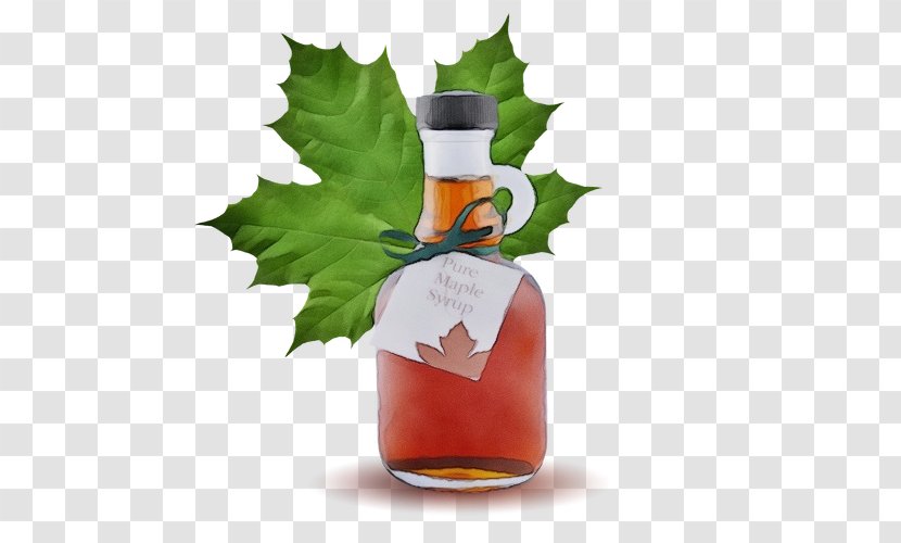 Red Maple Tree - Sugar - Distilled Beverage Syrup Transparent PNG