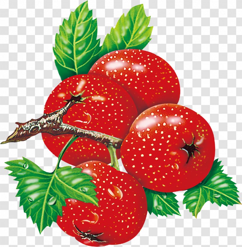 Strawberry Download - Vecteur - Cherry Transparent PNG